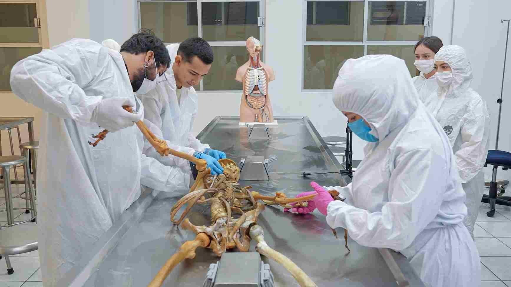 Licenciatura en Ciencias Forenses: Criminalística y Criminología