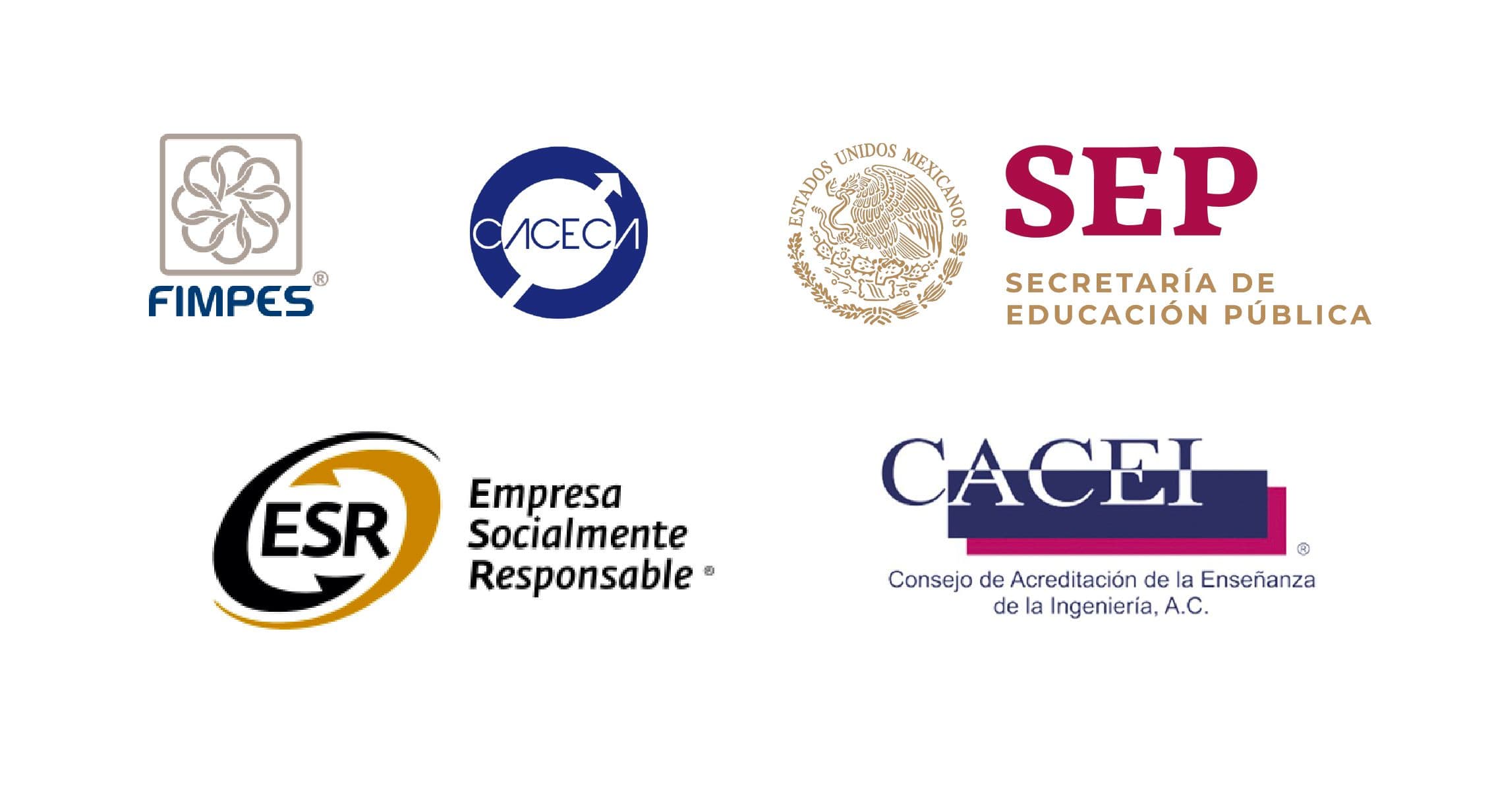 Ilustración para: Docentes conectados con la realidad profesional