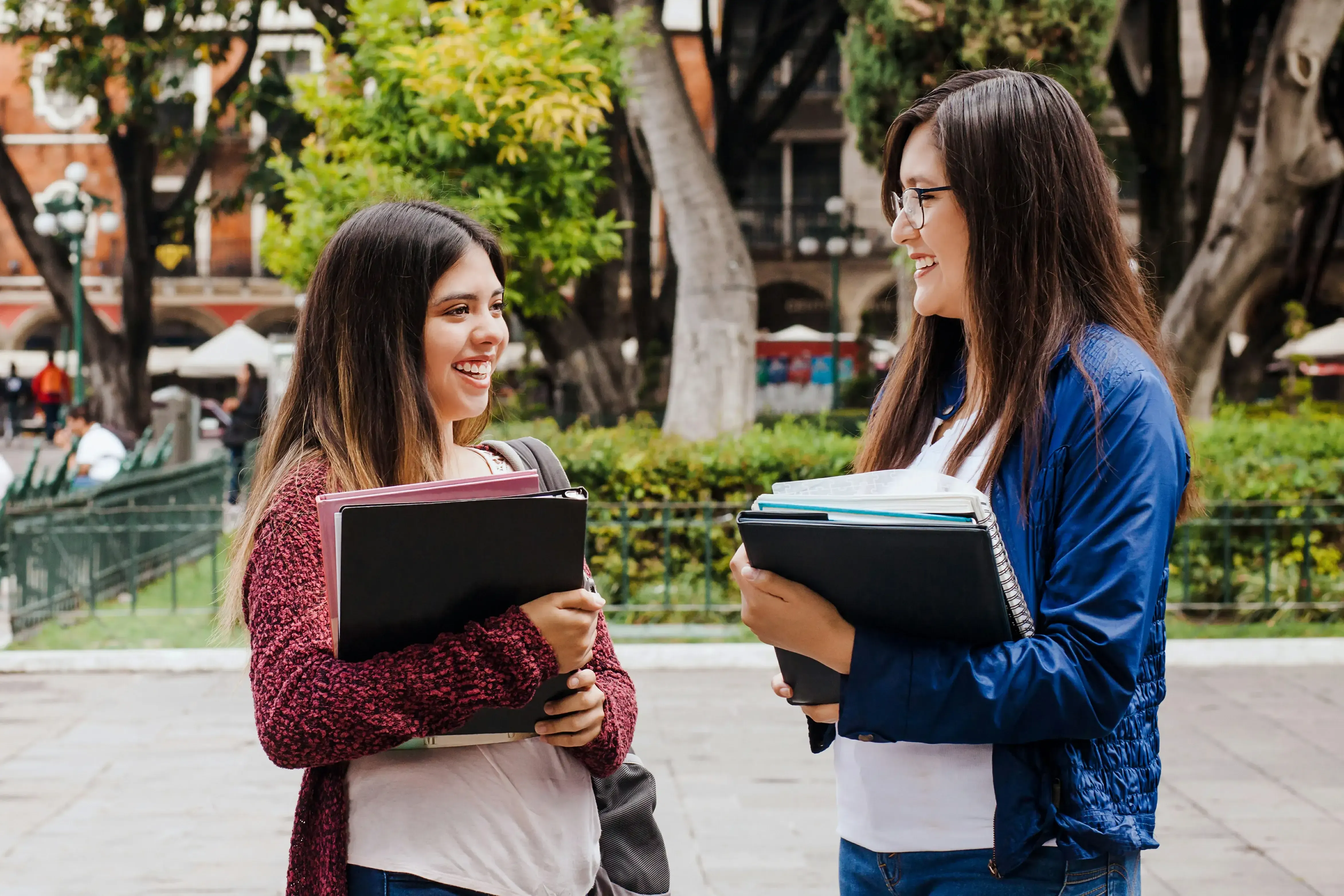 Una formación diseñada para tu éxito