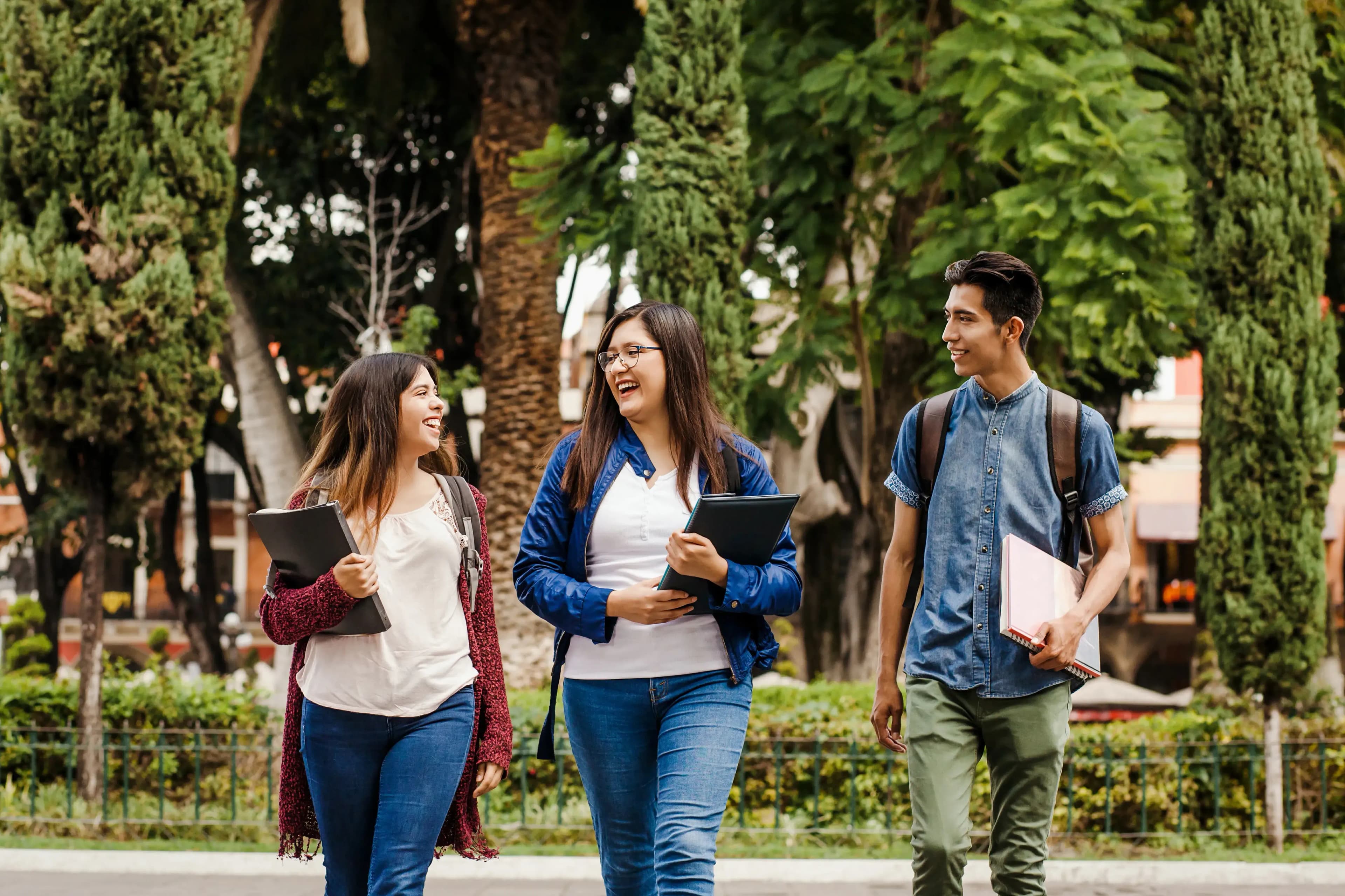 Ilustración para: La ventaja competitiva de un perfil multidisciplinario